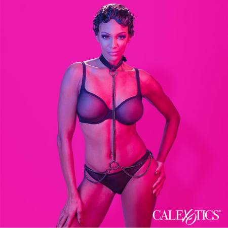 CALEXOTICS - EUPHORIA CHAIN HALTER COLLAR & LEASH