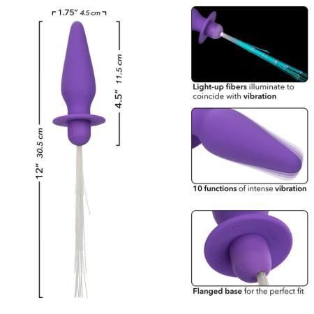 Southern Lights Light Up Plug Anale 10 Vibrazioni Silicone Viola