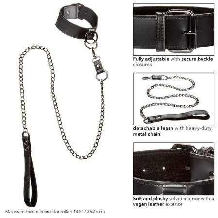 CALIFORNIA EXOTICS - EUPHORIA COLLAR WITH CHAIN LEASH