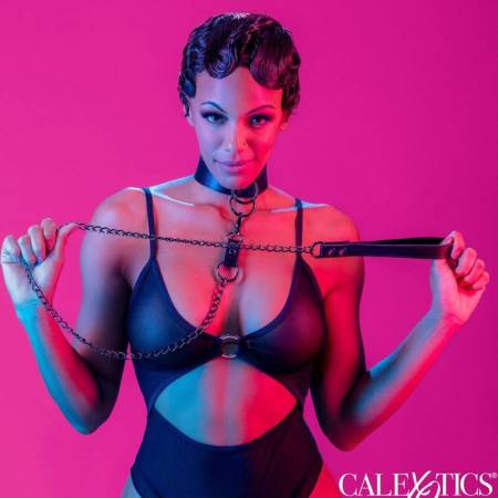 CALIFORNIA EXOTICS - EUPHORIA COLLAR WITH CHAIN LEASH