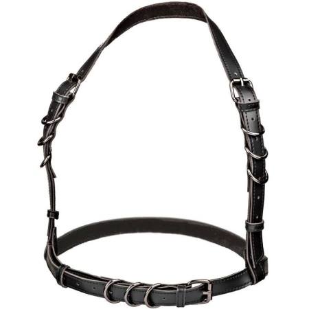 CALIFORNIA EXOTICS - EUPHORIA HALTER BUCKLE HARNESS BLACK