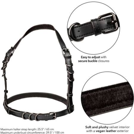 CALIFORNIA EXOTICS - EUPHORIA HALTER BUCKLE HARNESS BLACK