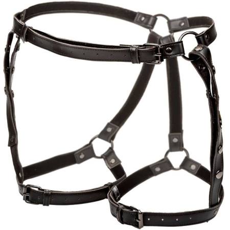 CALIFORNIA EXOTICS - EUPHORIA PLUS SIZE RIDING THIGH HARNESS